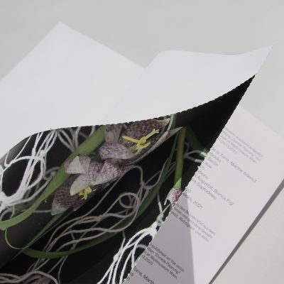 CLAUDIA DE LA TORRE, BACKBONEBOOKS