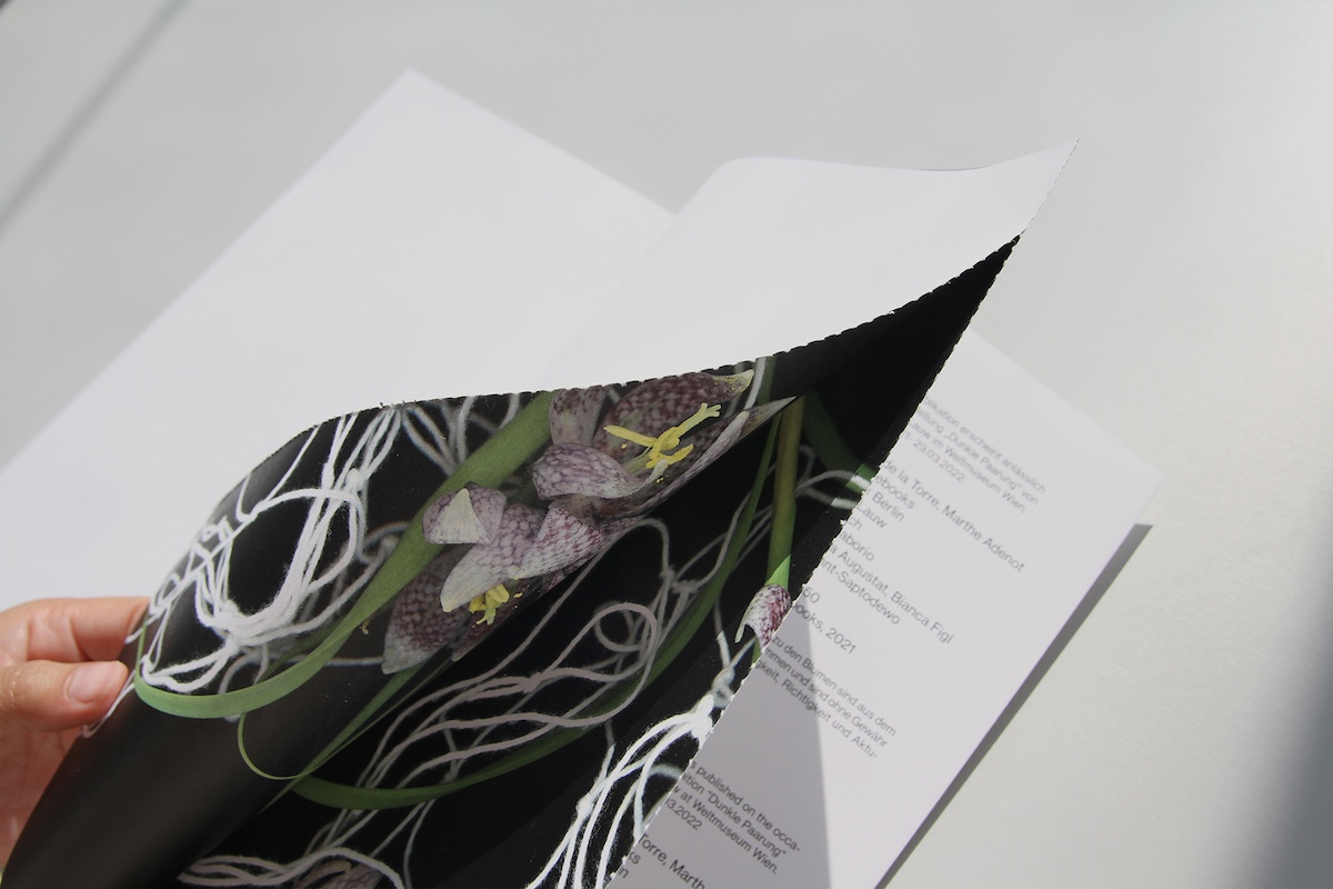 CLAUDIA DE LA TORRE, BACKBONEBOOKS