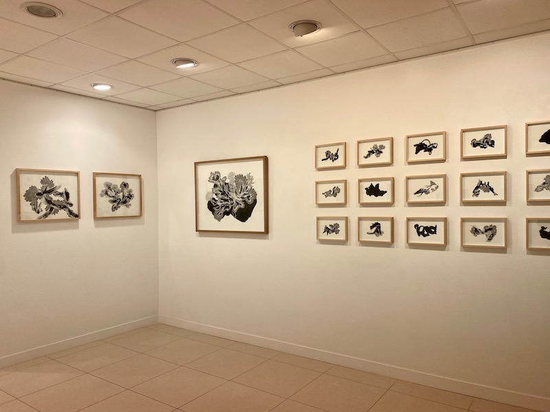 Imhathai Suwatthanasilp - graphite, fusain et acrylique sur papier - 2021 - courtesy galerie arnaud Lebecq