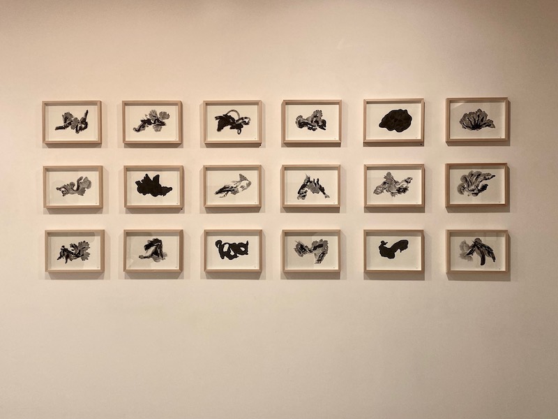 Imhathai Suwatthanasilp - graphite, fusain et acrylique sur papier - 2021 - courtesy galerie arnaud Lebecq