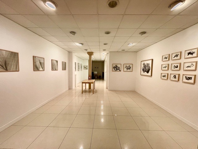 galerie arnaud Lebecq - (ENTRELACS) - du 4 au 19 décembre 2021 - courtesy galerie arnaud Lebecq