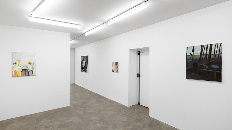 Vue de l'exposition Softspots, Julian Simon, GALERIE CHLOE SALGADO, 2022 - Photo Grégory Copitet © GALERIE CHLOE SALGADO