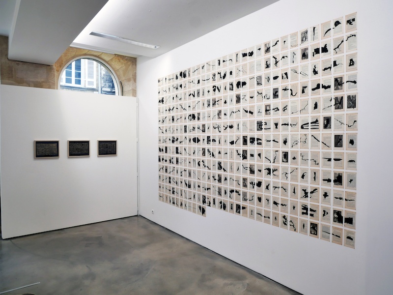 Vue d'exposition personnelle Karukinka - Canto uno d'Aurélien Mauplot, jusqu'au 19 février 2022, Galerie Eponyme, Bordeaux