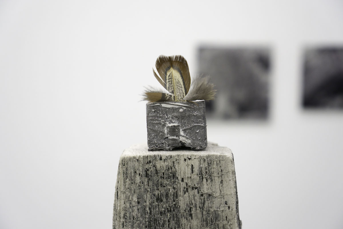 WILFRIED NAIL , CHAPITRE III – ZOMBI
