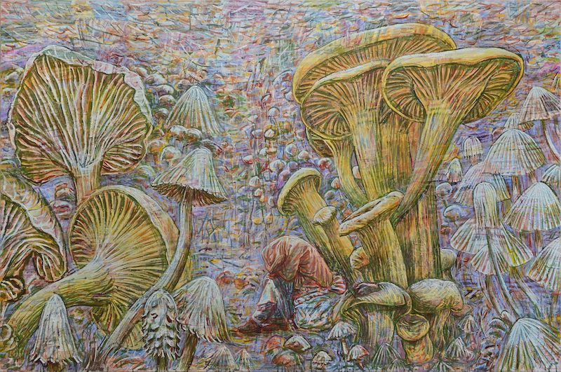 Mauro Bordin, Le sommeil de la folie engendre champignons, huile sur toile, 130 x 195 cm, 2020