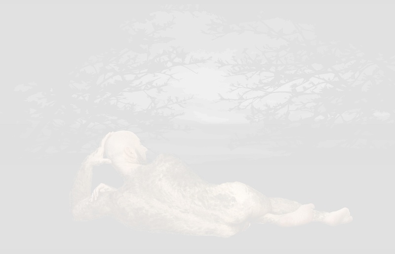 Natacha Mercier, Sans titre. Variation de L’Odalisque de Lefebvre, 120 x 190 cm. Série Vasistas ? , peinture automobile et vernis mat sur panneau de signalisation verticale en aluminium – 2016.