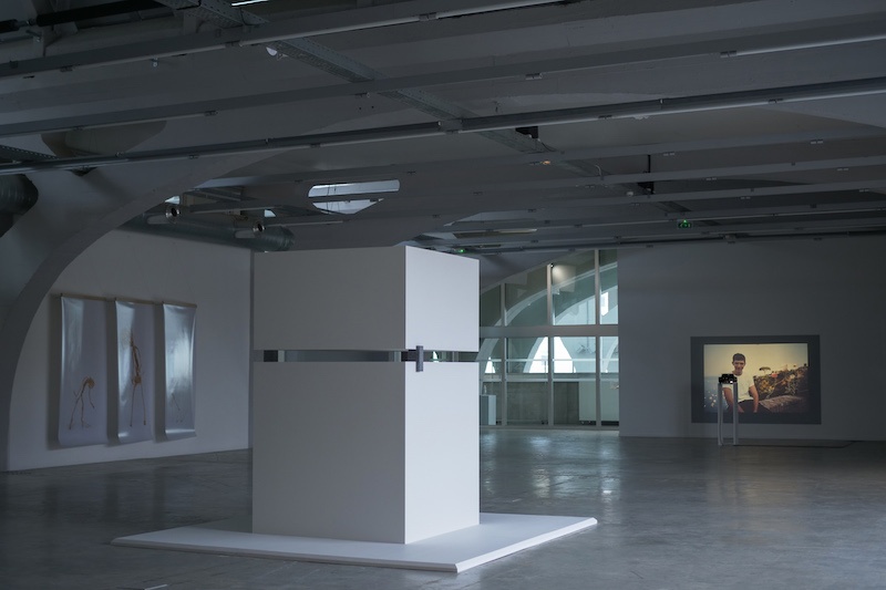 Vue de l'exposition "Boaz" de Romain Kronenberg, 2022 © La Kunsthalle Mulhouse - photo : Romain Kronenberg