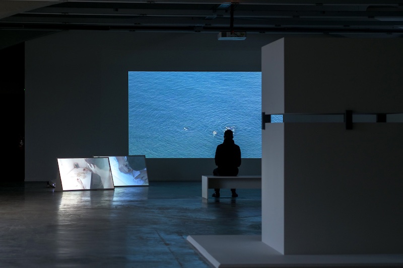 Vue de l'exposition "Boaz" de Romain Kronenberg, 2022 © La Kunsthalle Mulhouse - photo : Romain Kronenberg