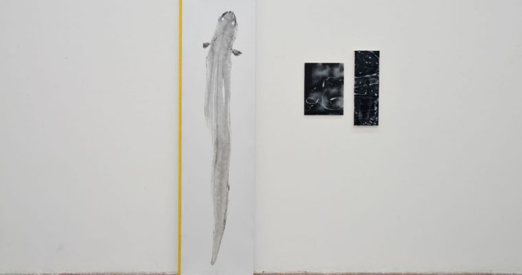 ALICE MOLET, RENCONTRE UN CONGRE GRUE
