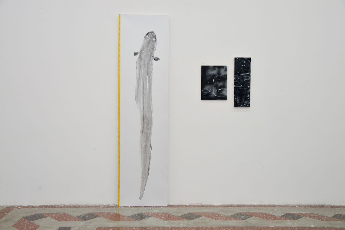ALICE MOLET, RENCONTRE UN CONGRE GRUE