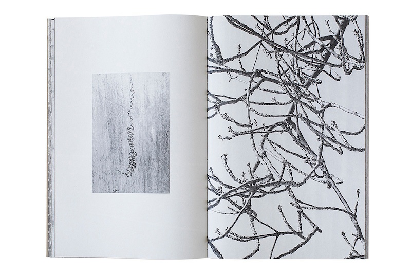 Sandrine Marc, Change plus vite que le cœur, 2018