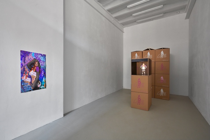 Anaïs Goupy, Felt Cute, solo show by ASPN, 2022 Photo Stefan Fischer