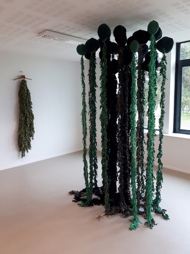 Vue de l'exposition Delphine Dewachter, Qui songe à oublier se souvient La Transversale, Bourges