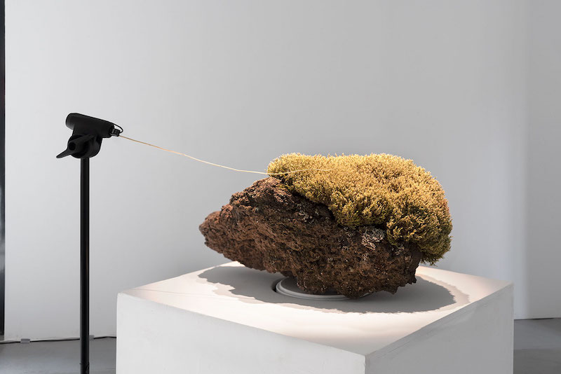 Gil Delindro, Cartographies #8 45.708401,2.958665, 2022. Pierre volcanique collectée en France (Puy de la Vache, Auvergne), microphone et enceinte