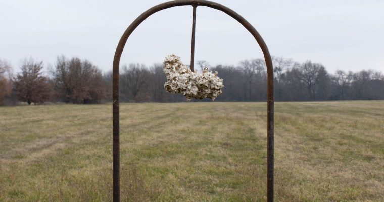 CLAIRE ETTWILLER