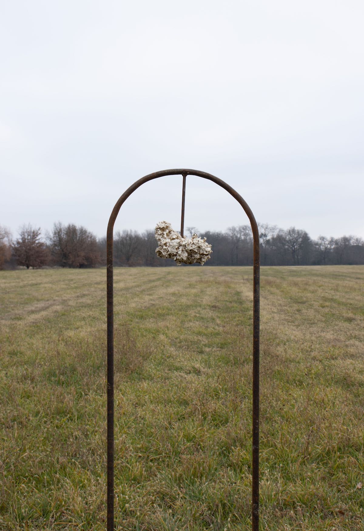 CLAIRE ETTWILLER