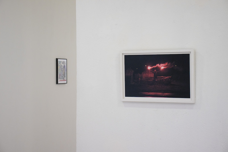 Vue exposition Beetle Beetle Juice - Ou L(a)(im)possibilité de l'invocation, Galerie l'axolotl, Toulon - Photo Léo Fourdrinier