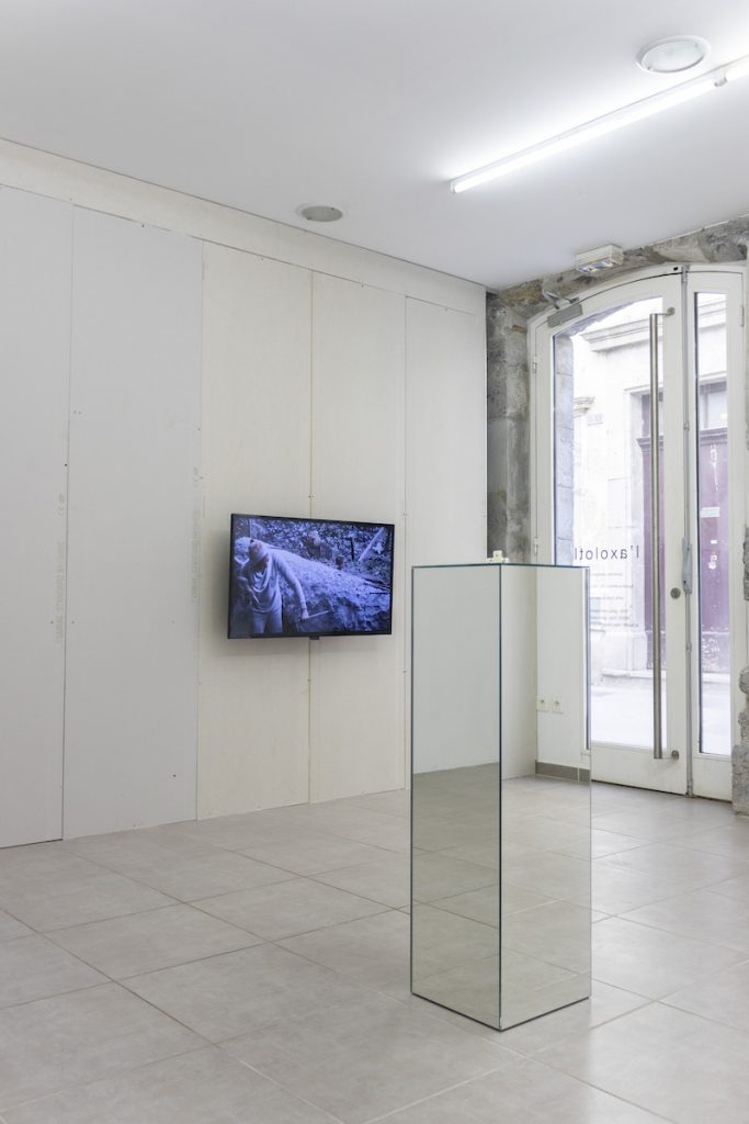 Vue exposition Beetle Beetle Juice - Ou L(a)(im)possibilité de l'invocation, Galerie l'axolotl, Toulon - Photo Léo Fourdrinier