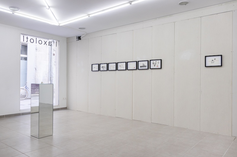 Vue exposition Beetle Beetle Juice - Ou L(a)(im)possibilité de l'invocation, Galerie l'axolotl, Toulon - Photo Léo Fourdrinier