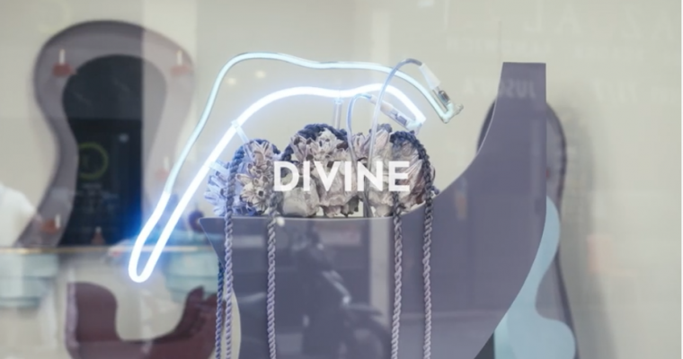 DIVINE d’Aurore-Caroline Marty – KOMMET