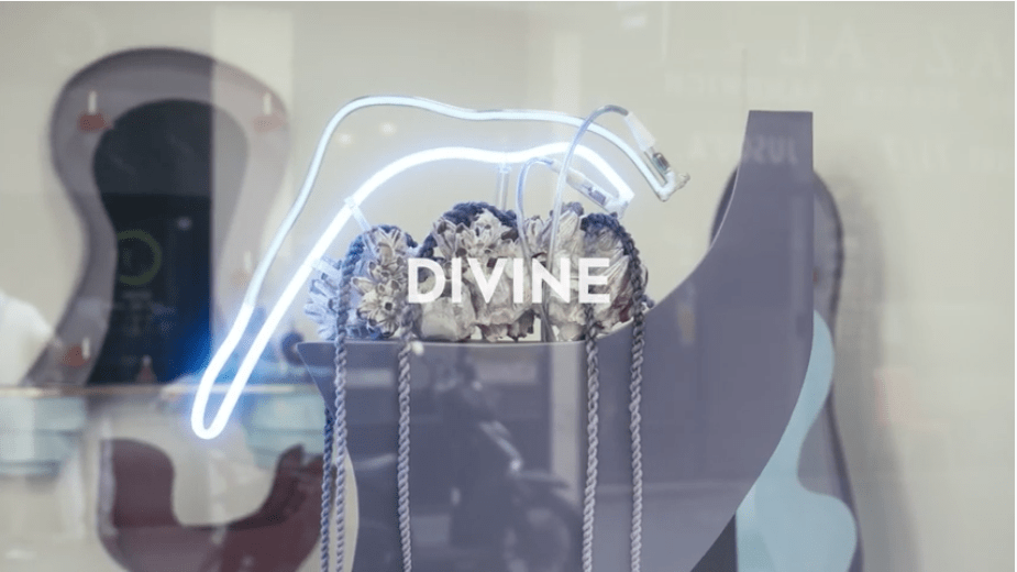DIVINE d'Aurore-Caroline Marty - KOMMET