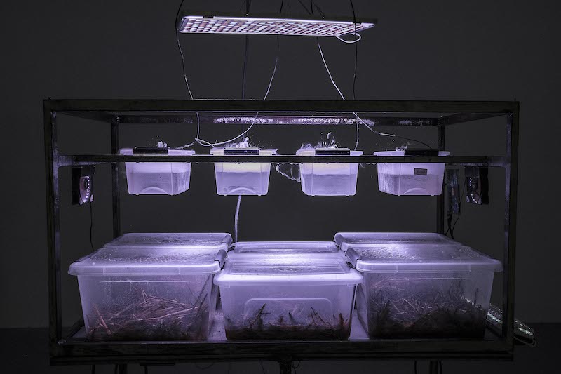 Alexis Puget - Vue d'exposition (Co)habiter, centre d'art Apollonia, Strasbourg