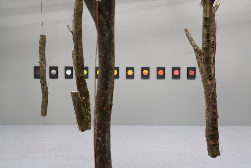Vue de l'exposition Novacène © maxime dufour photographies