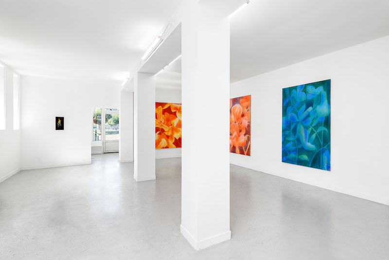 Exposition Jean de Sagazan, The Hierarchy of Lows, Les Bains-Douches, Alençon _ Courtesy de l’artiste et Les Bains-Douches, Alençon - Photo Romain Darnaud