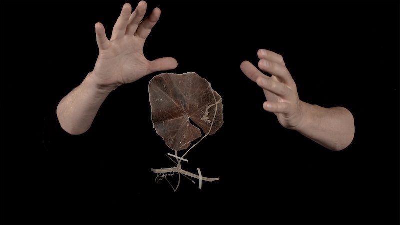 Justine Blau, Le magicien, video extract_The De-exticnt project_2020