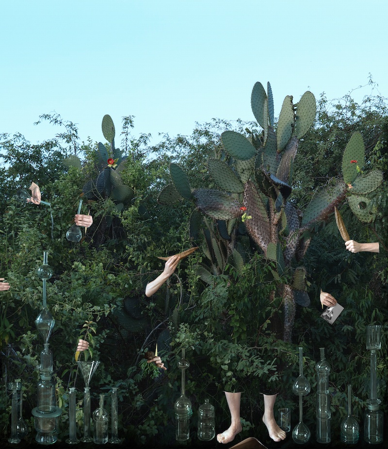 Justine Blau, Manipulation (autoportrait)_photograph on textile_The De-extinct Project_2020