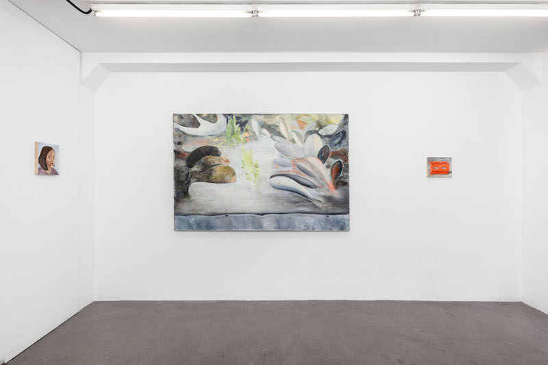Vue d'exposition Where I Gaze, Galerie Mathilde Le Coz, Paris – Photo Romain Darnaud
