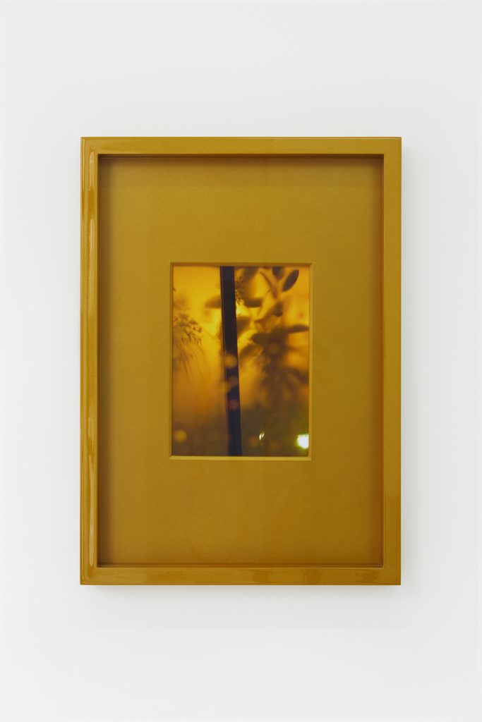 Hubert Marot, To remain still is to die, Studiolo Paris
