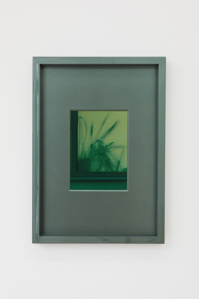 Hubert Marot, To remain still is to die, Studiolo Paris