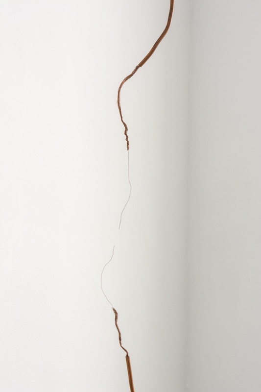 Vue d'exposition Une coupure dans le continu, Jean-Baptiste Caron et Sophie Blet, Galerie 22,48m2, Paris