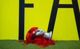 JOHANNA CARTIER, TERRAINS FRAGILES, AMOUR MISKINE 