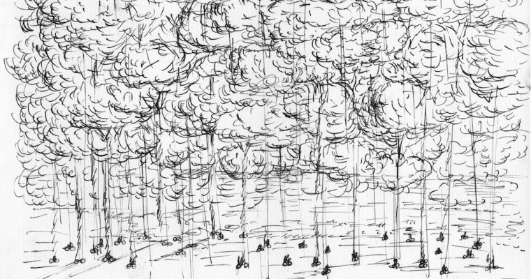 MANOLIS BABOUSSIS, FOREST DELIVERY