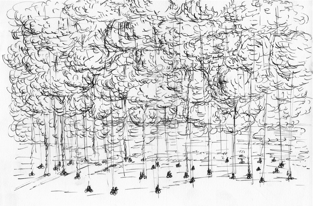 MANOLIS BABOUSSIS, FOREST DELIVERY