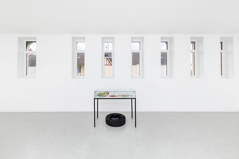 Exposition Hendrik Hegray, Tout Smoke, Les Bains-Douches, Alençon
Photo Romain Darnaud
Courtesy de la Galerie Valeria Cetraro, Paris & Les Bains-Douches, Alençon