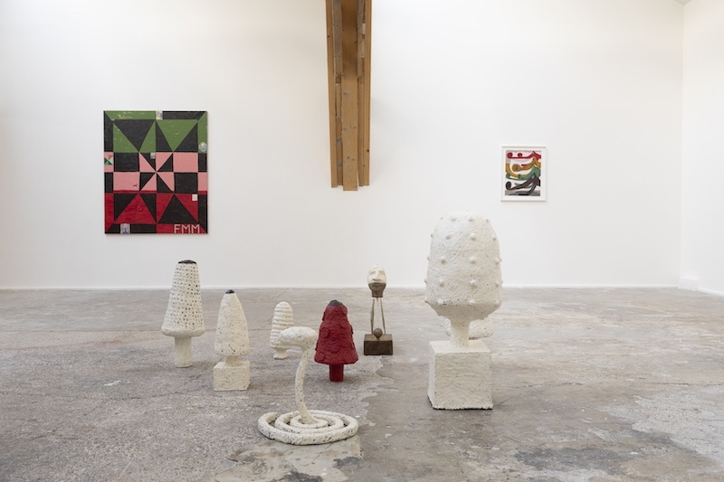 Vue exposition "Caniggia" de Francisco Mendes Moreira - Galerie Slika Lyon - Photo Ghislain Mirat