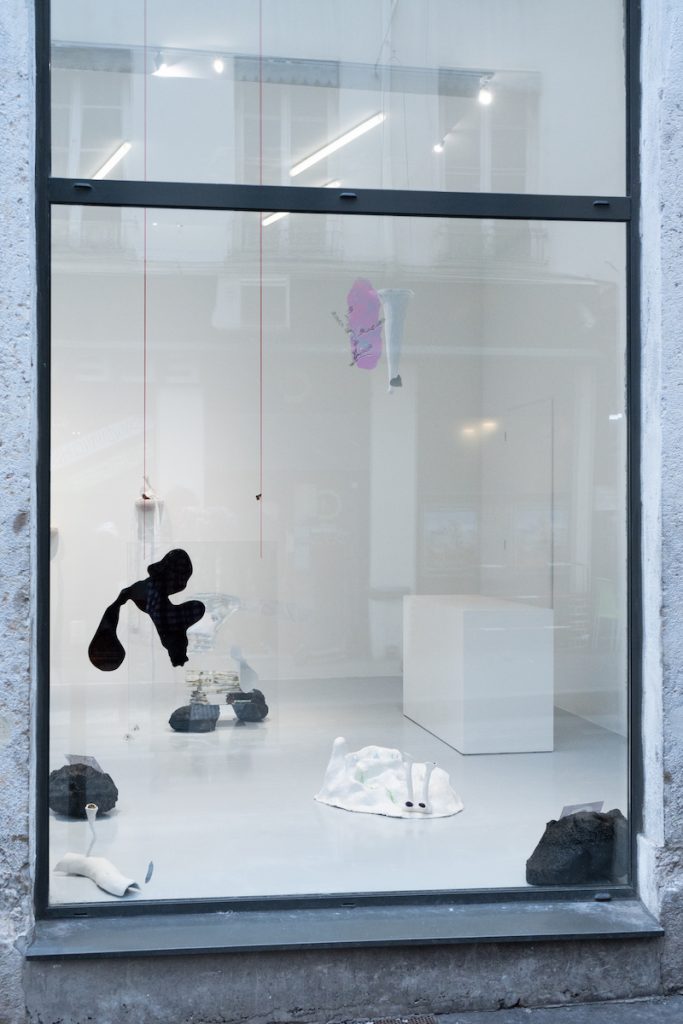 Exposition Dounia Chemsseddoha et Lisa Hoffmann, Dans leurs mains, sous nos yeux, KOMMET Lyon - Photo - Crédit Lucas Zambon