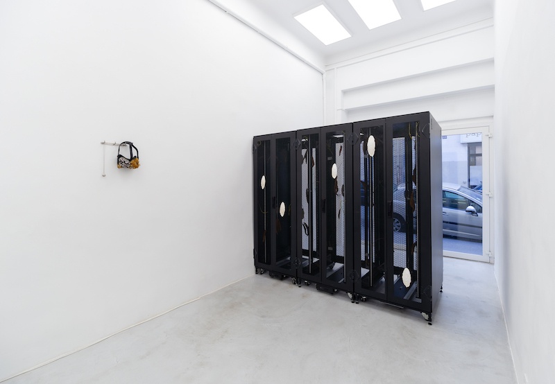 Rémi Lécussan, vue exposition Un calamar à la surface, Galerie de la SCEP, Crédit photo Nassimo Berthommé