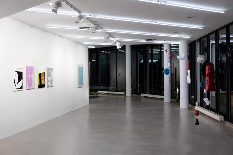 Antoine Duchenet, L'éternel quiproquo, vue d'exposition. Photographie Mathieu Lion