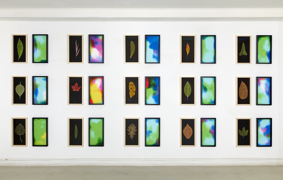 FLORIAN SCHÖNERSTEDT, EXPOSITION EXHAUSTIVE