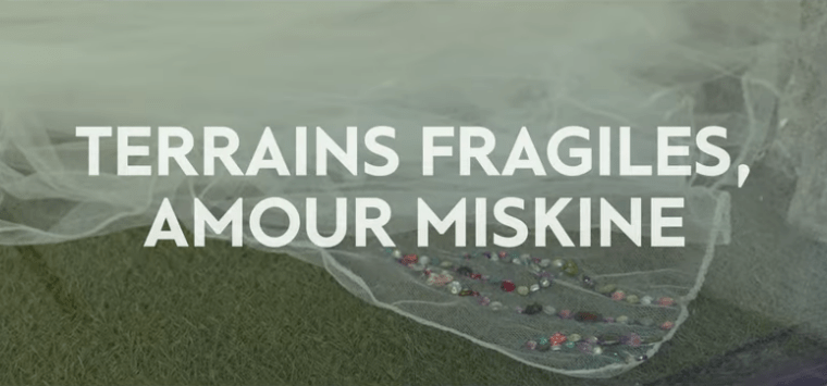 Johanna Cartier, TERRAINS FRAGILES, AMOUR MISKINE