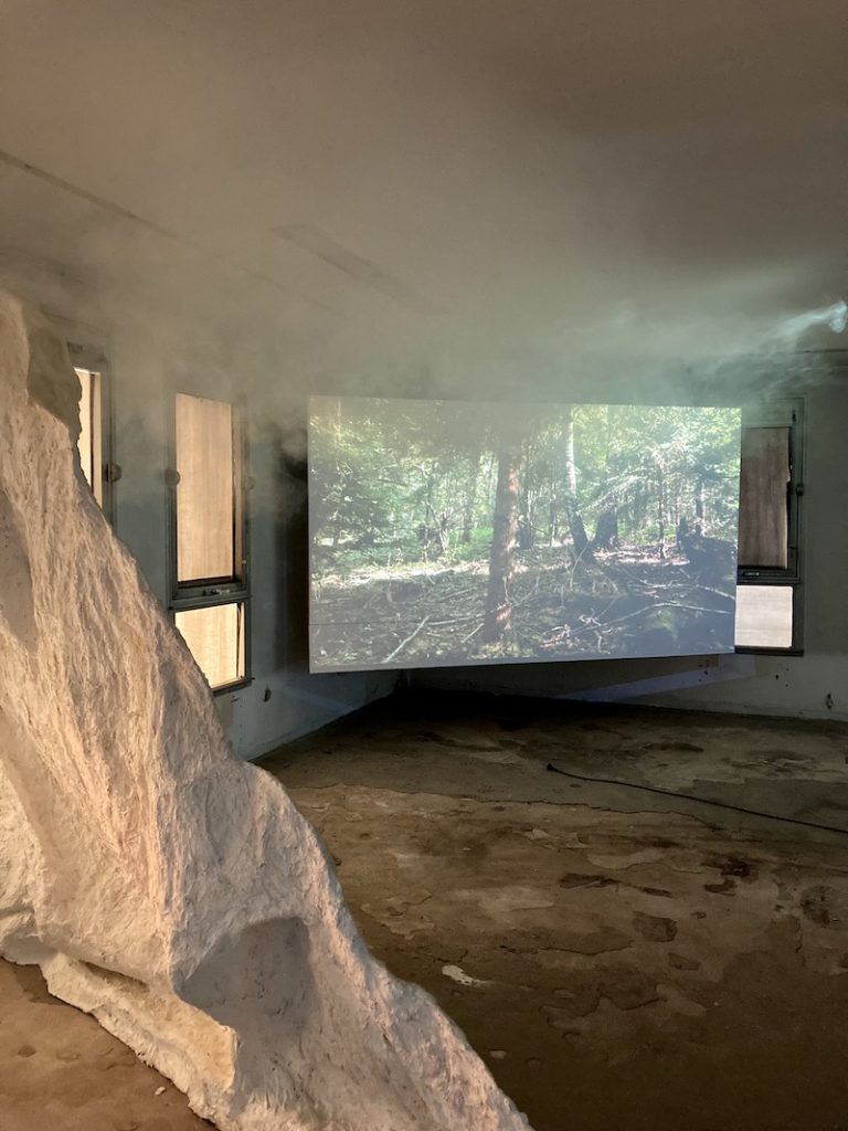Ángela Jiménez Durán, Ariel Mestron - Vue exposition Troglodyte Guided Tour