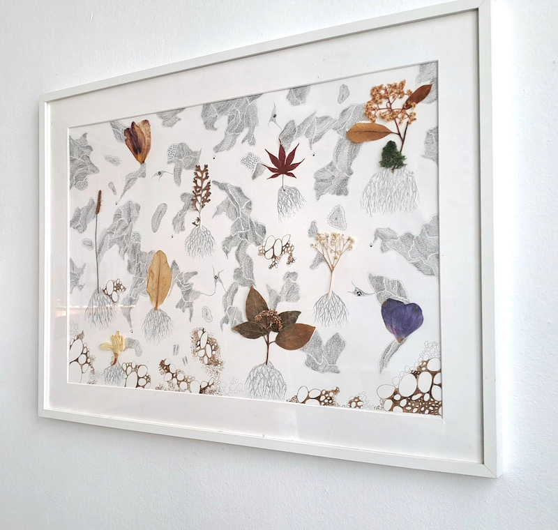 Nathalie Borowski, ADN des plantes #2 - Dessin sur papier BFK Rives, plantes - 60x80cm
