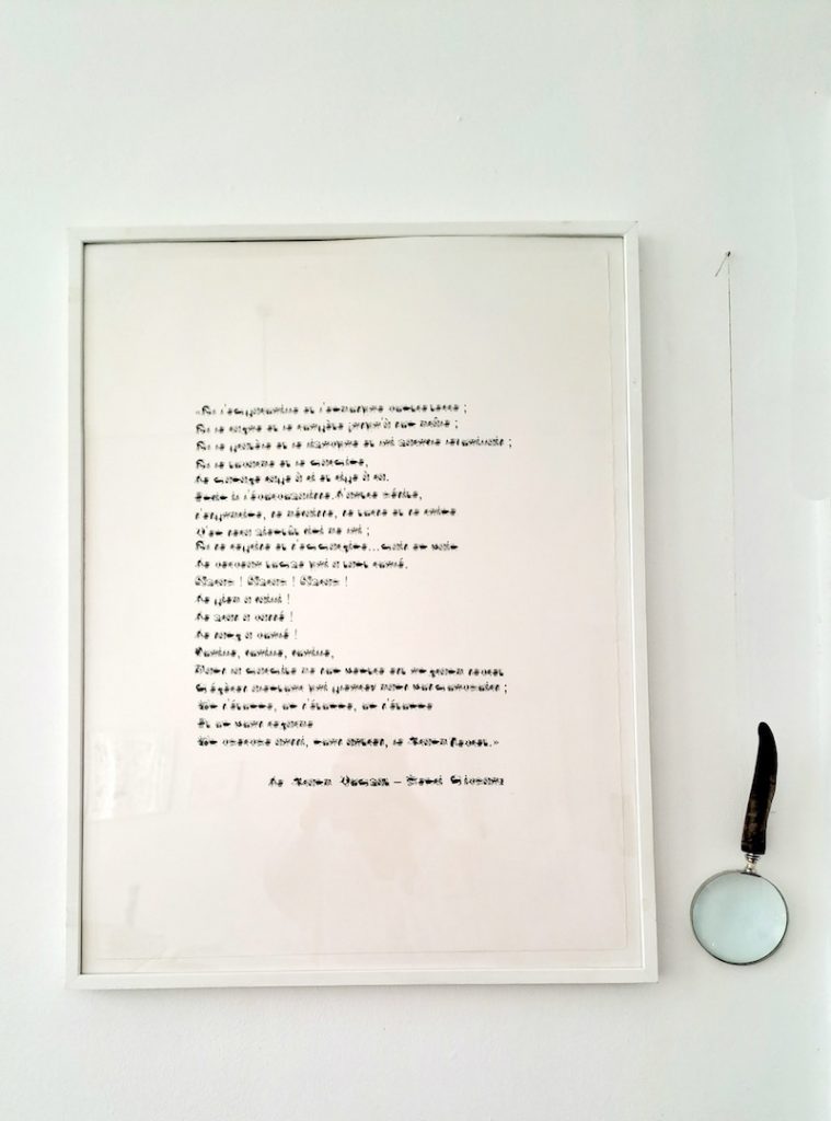 Nathalie Borowski, Le Grand Combat - Ecriture cellulaire - Lithographie sur papier BFK rives - 60x80cm