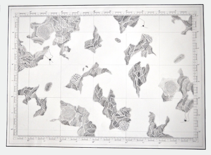 Nathalie Borowski, Les Grands Fonds #3 - Dessin sur papier BFK Rives - 60x80cm
