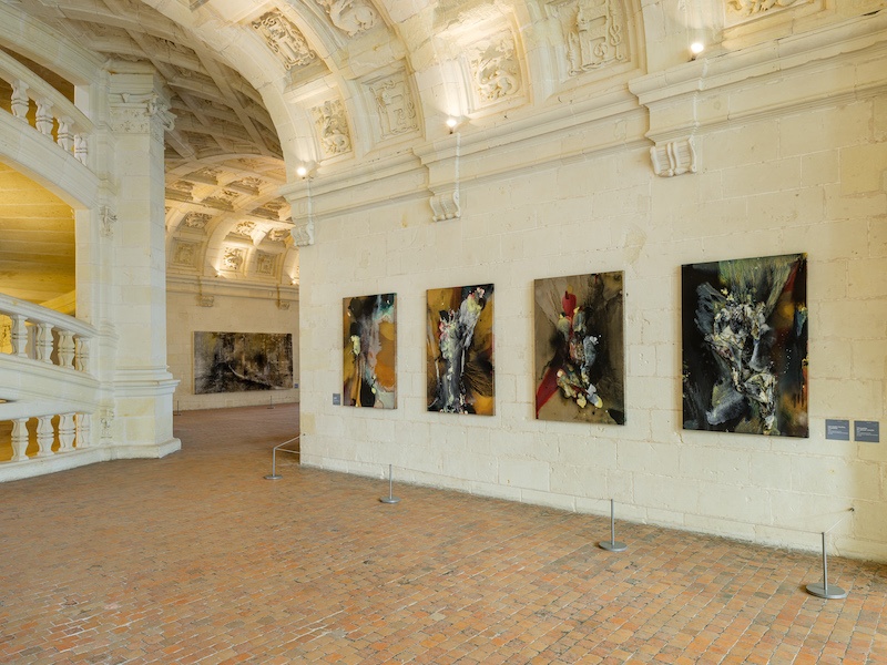Lionel Sabatté - Pollens clandestins, Chambord - photo © Grégory Copitet