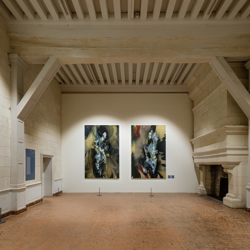 Lionel Sabatté - Pollens clandestins, Chambord - photo © Grégory Copitet